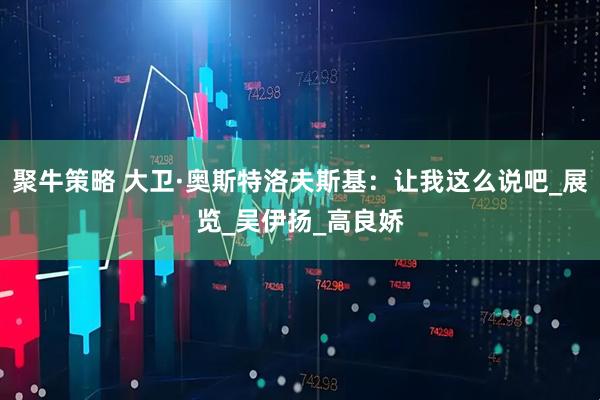 聚牛策略 大卫·奥斯特洛夫斯基：让我这么说吧_展览_吴伊扬_高良娇